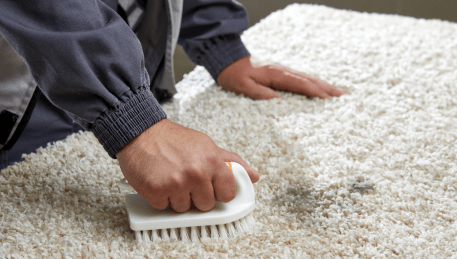 Professional Rug Cleaning Portsea