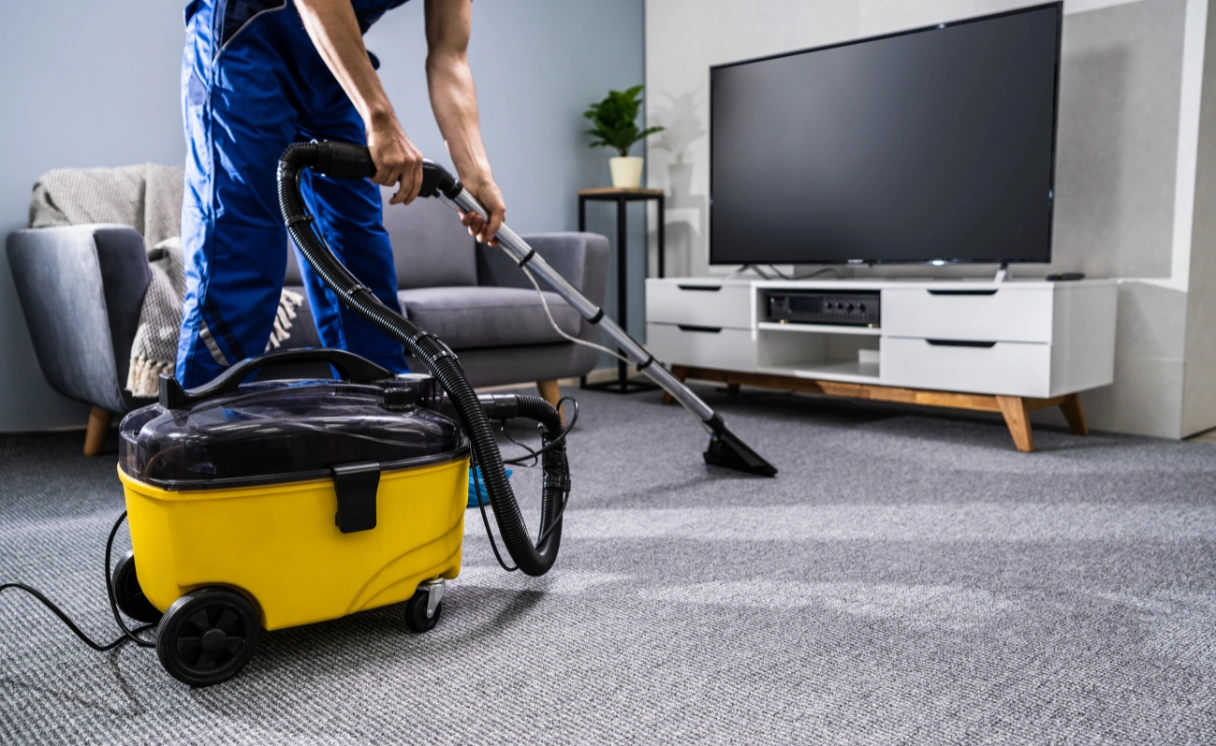 Extract Rug Cleaning Portsea Contact Office